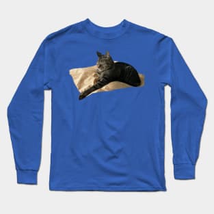 Sleeping Tabby Long Sleeve T-Shirt